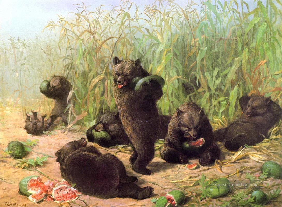 Bären essen Wassermelone William Holbrook Beard Ölgemälde